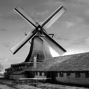 Windmill Zaandam